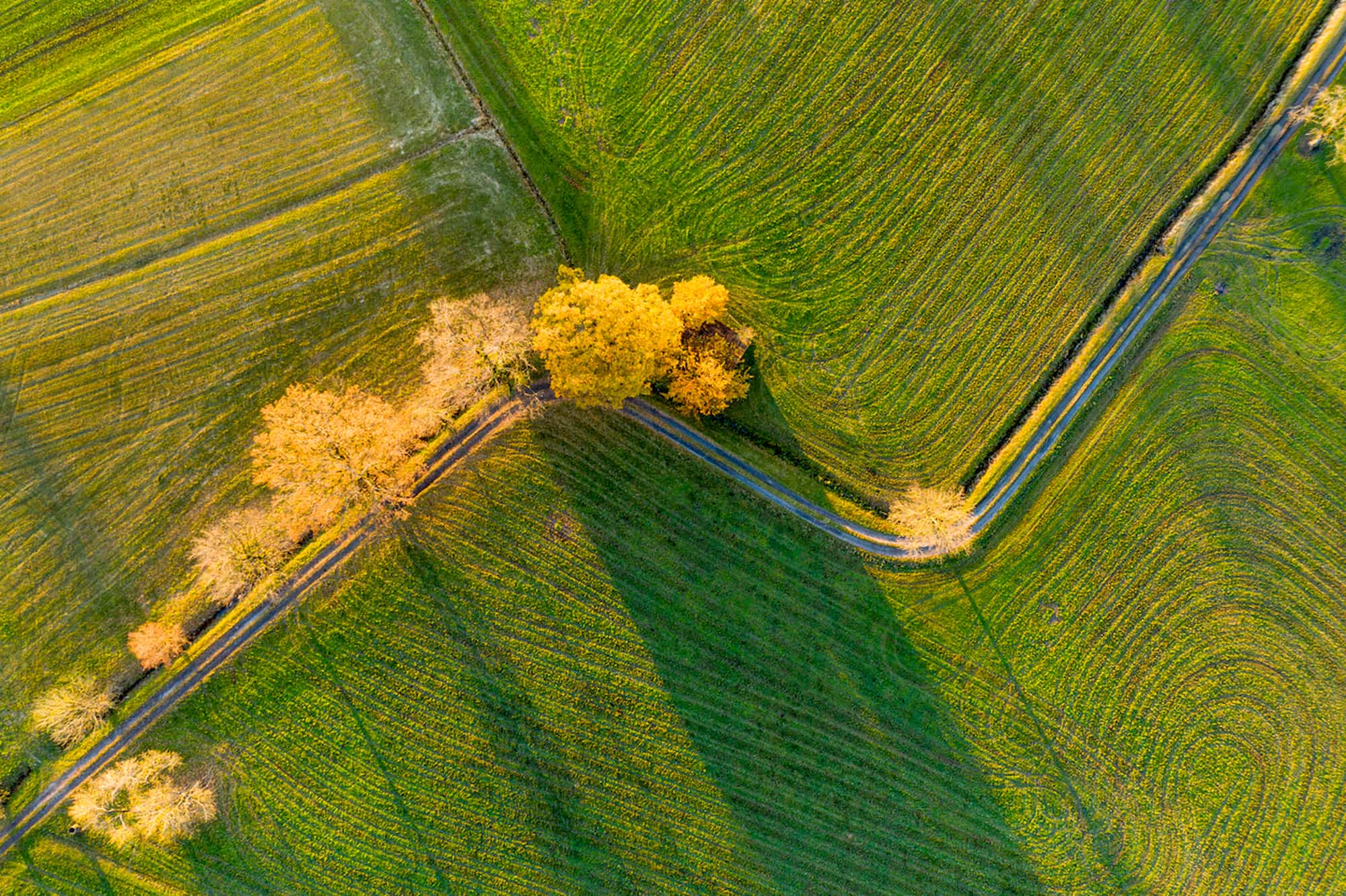 Investing for Impact: Understanding the ABCs of ESG